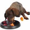 Dog Activity Flip Board