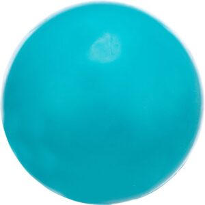 Bal hondenspeeltje zonder geluid, blauw, ø 8 cm