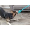 Bungee Dummy blauw - Afbeelding 2
